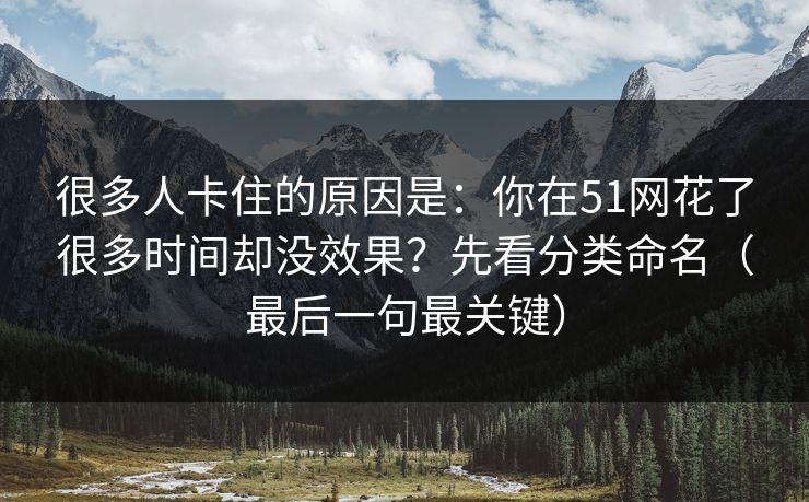 很多人卡住的原因是：你在51网花了很多时间却没效果？先看分类命名（最后一句最关键）