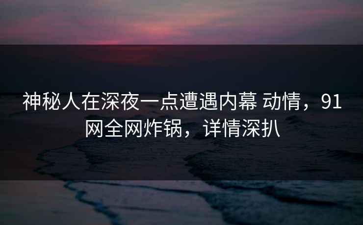 神秘人在深夜一点遭遇内幕 动情，91网全网炸锅，详情深扒